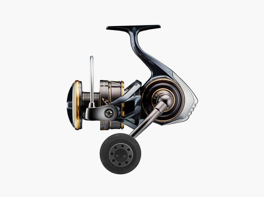 Daiwa Caldia SW