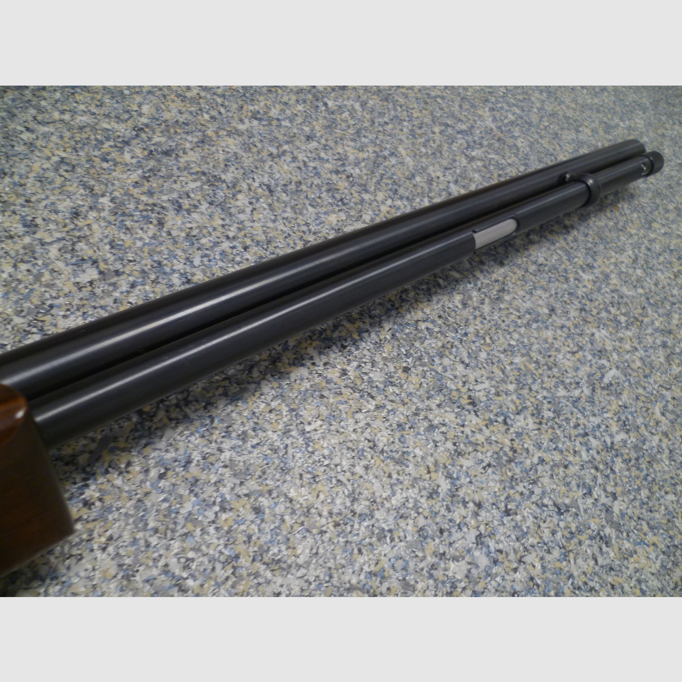 Carabina semiautomática Anschütz - Modelo Savage 6P-M .22lr