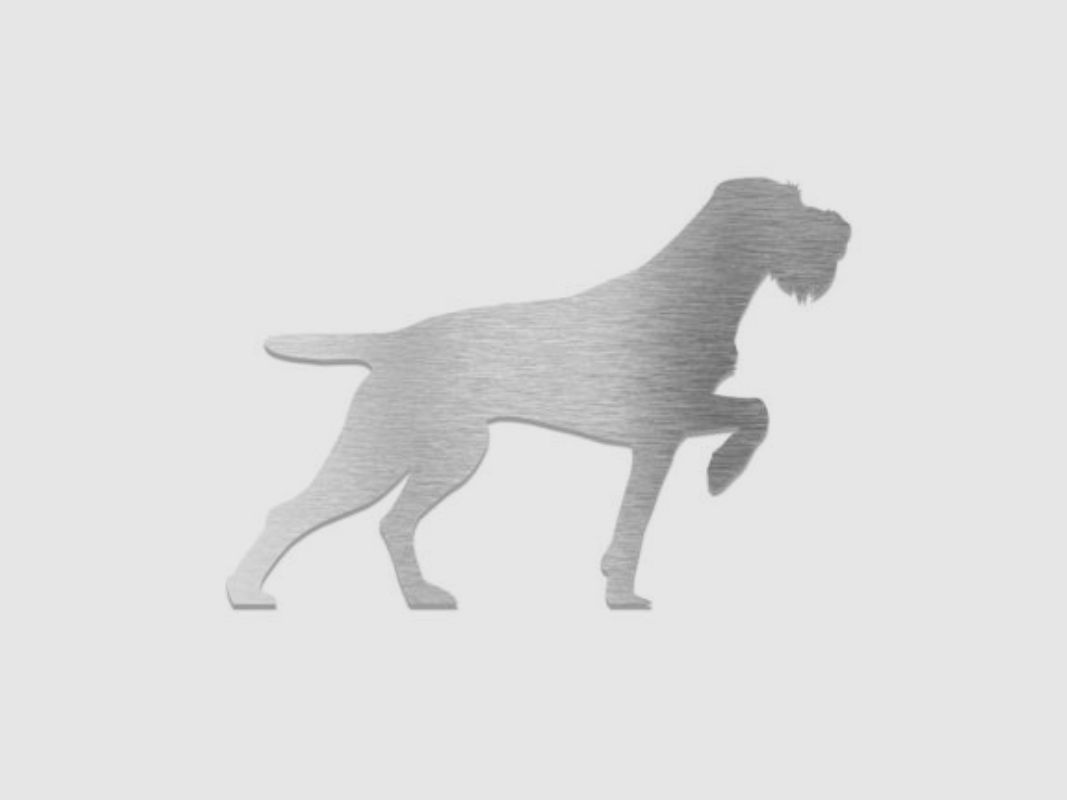 Deko Pin/Anstecker "Drahthaar"