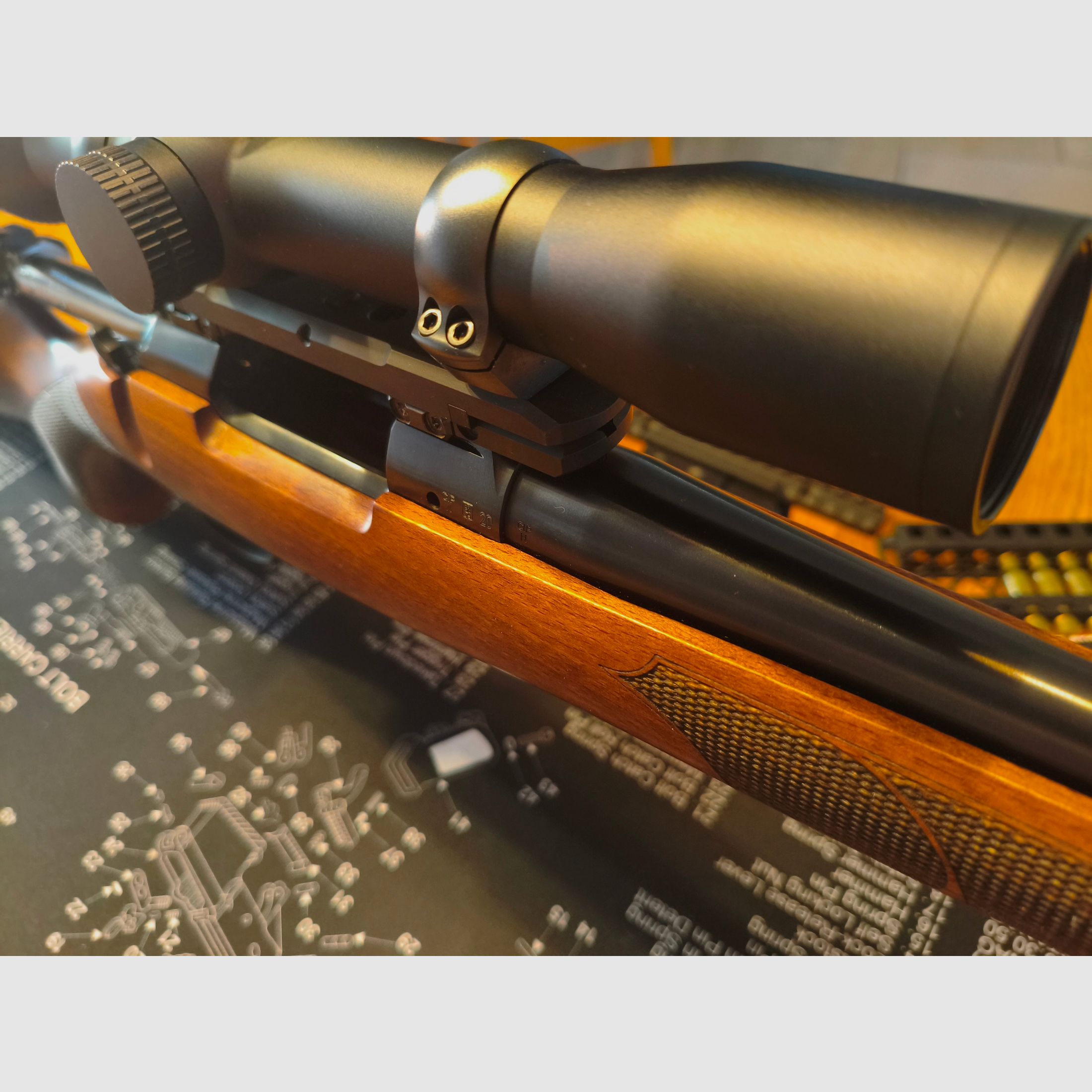 CZ 557 RANGER(R) in .308 WIN komplett mit GPO SPECTRA und DENTLER