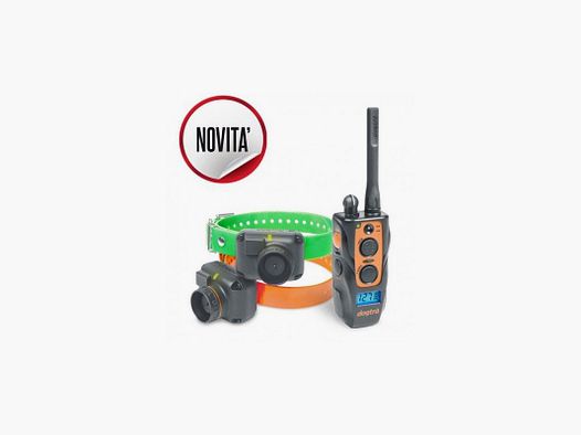 Collier d'éducation et beeper Dogtra 2602 T&B