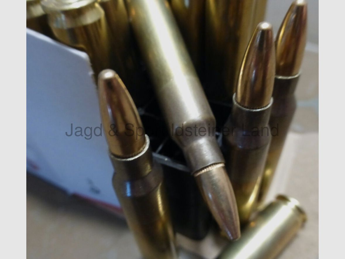 AGUILA 55grs, FMJ, 50 Patronen pro Packung