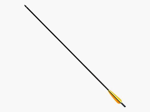 Carbon Pfeil 20"