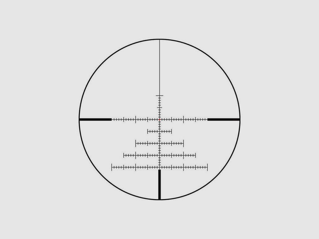 Leica Amplus 6 3-18×44, BDC MOA, image 2 sur 4