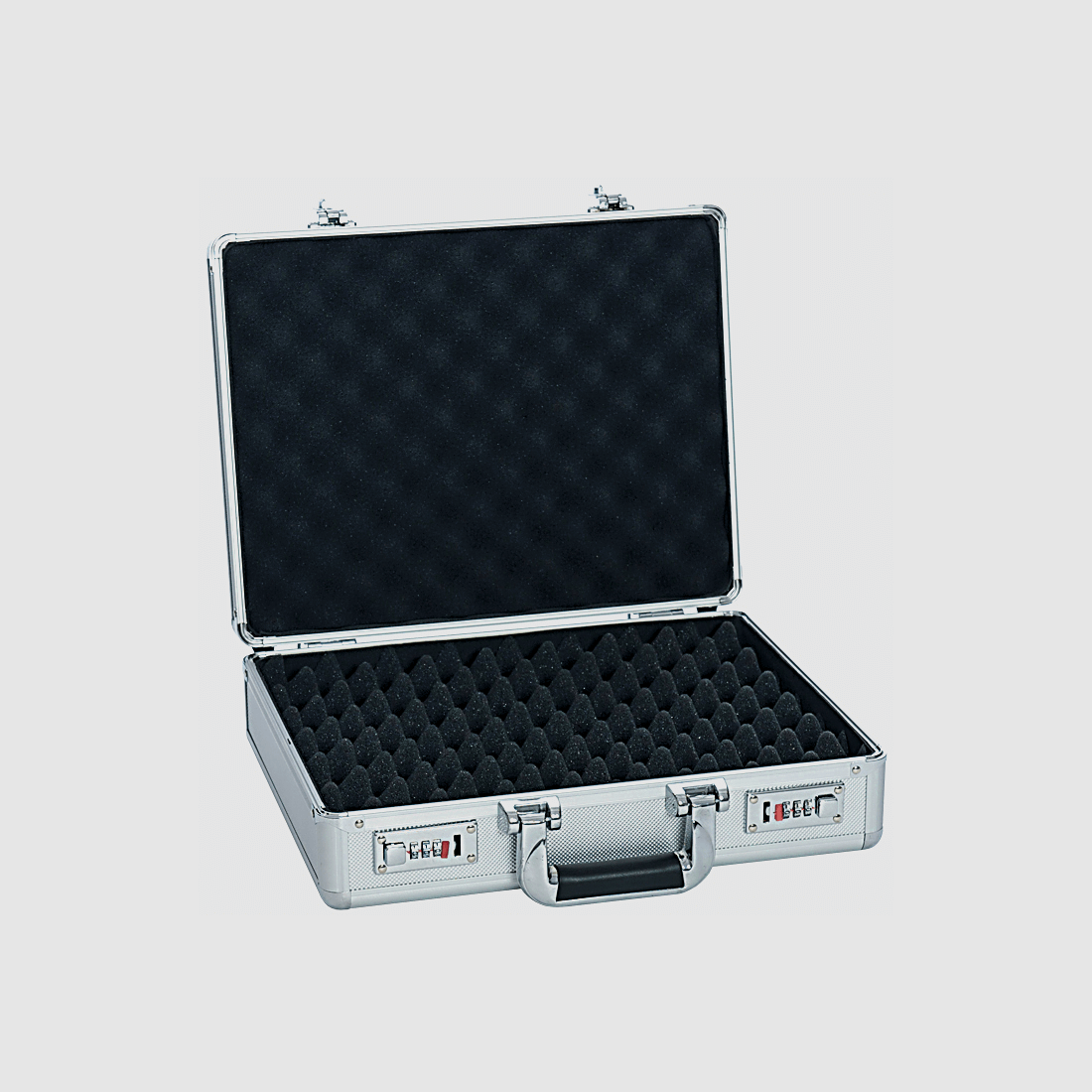 Greenland's pistol case