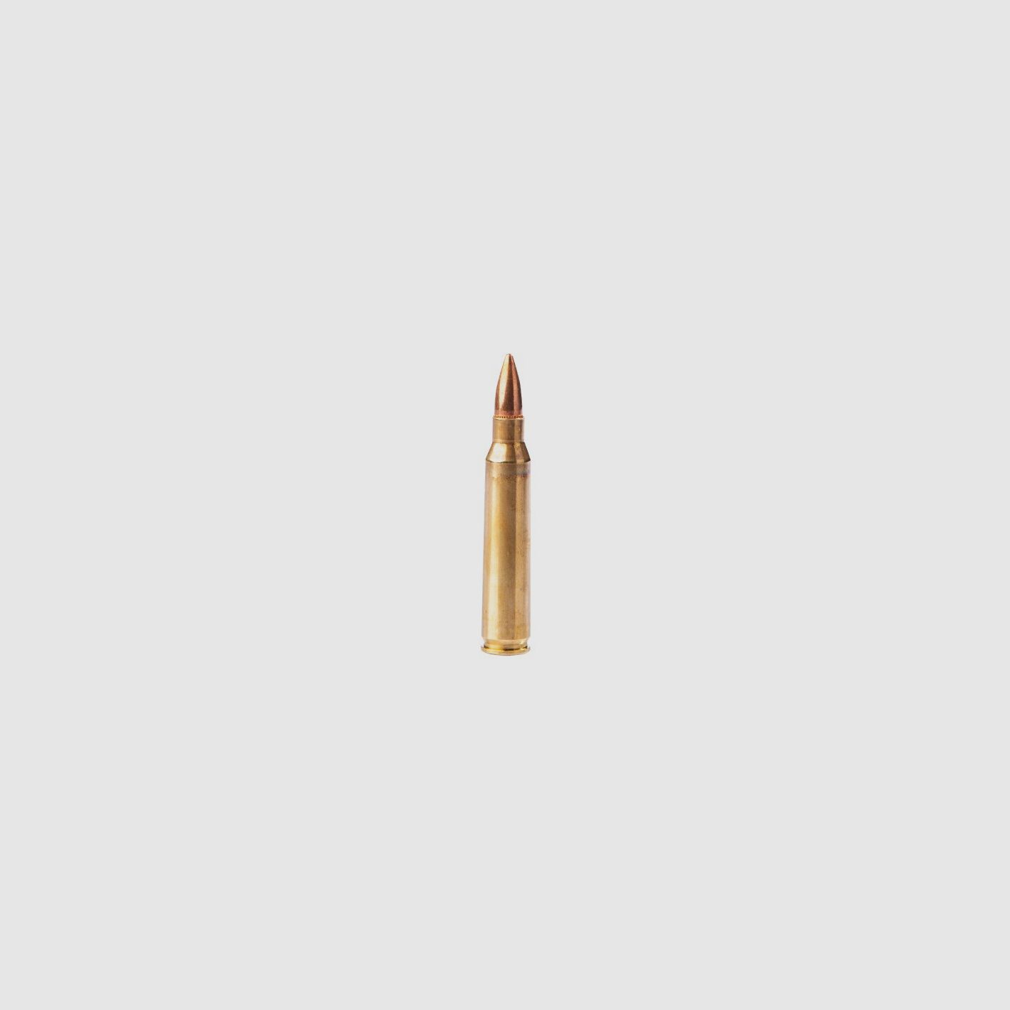 Patronen Fiocchi cal. 223 Remington FMJ 55 gr, Bild 2 von 2