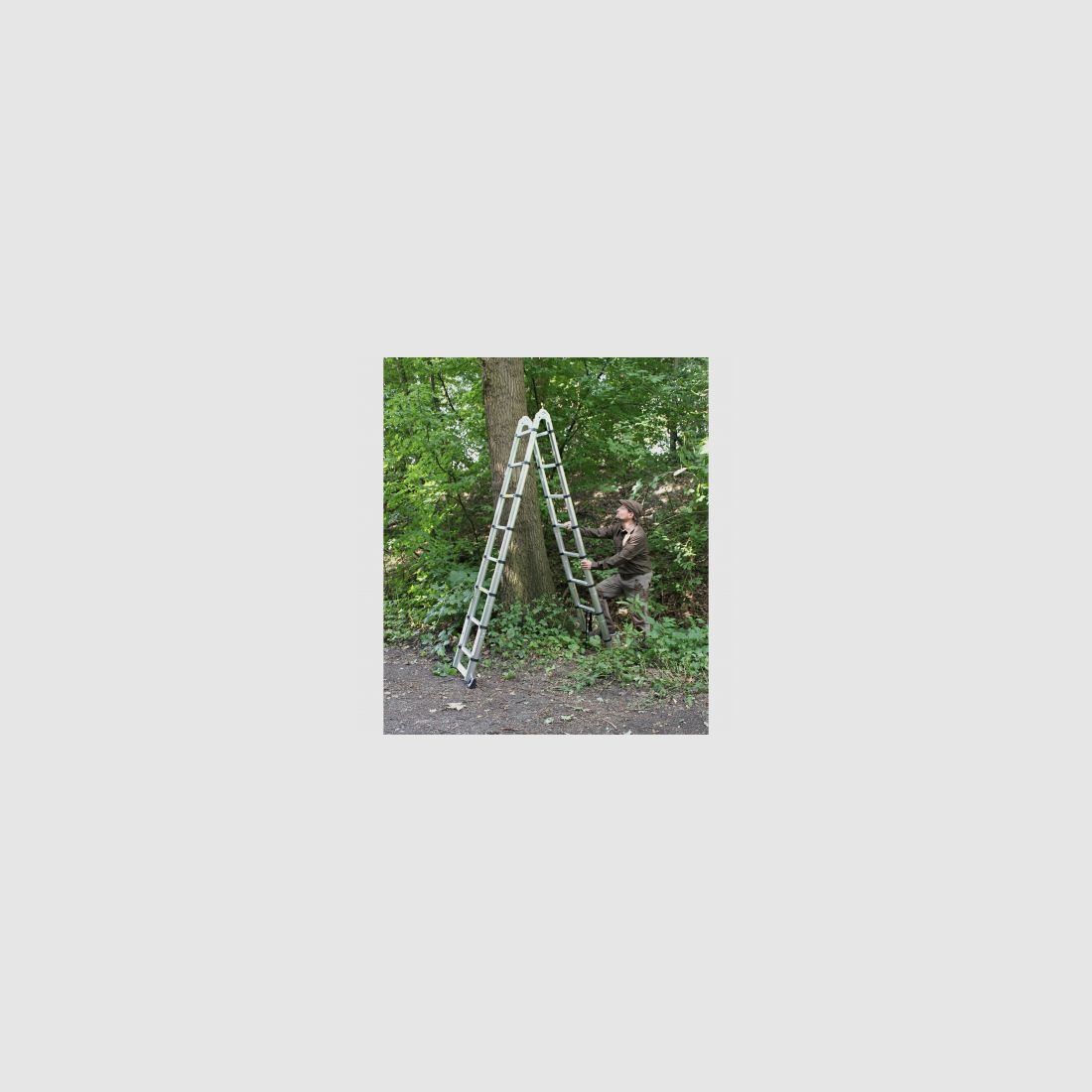 il Lago Passion Tele-Revierleiter |