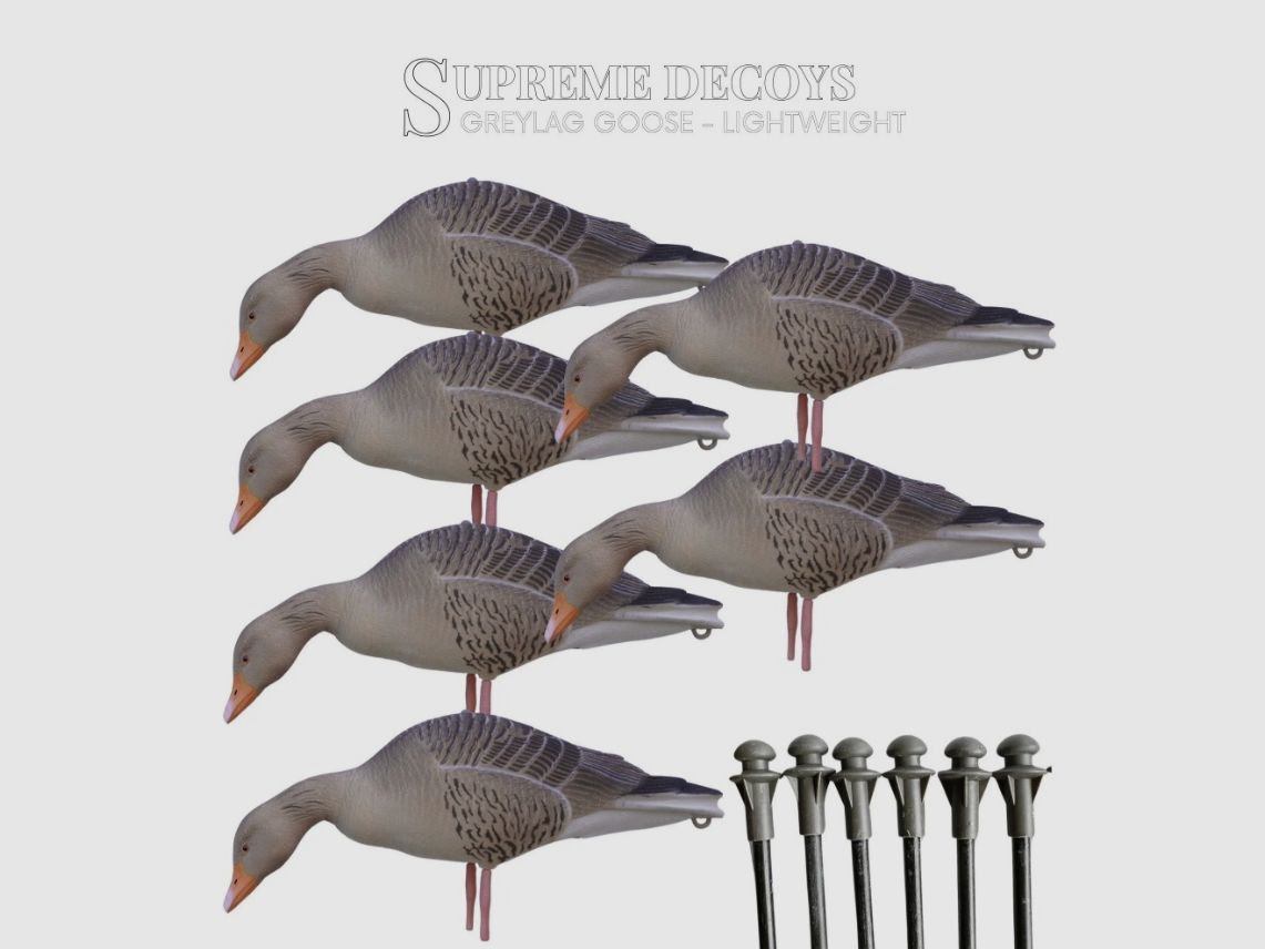 DK WAI Supreme Lightweight – oie cendrée (set avec 4× oies en train de se nourrir et 2× oies qui regardent, avec sac pour appelants), image 3 sur 4