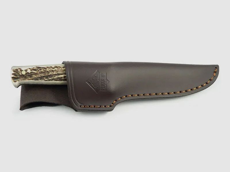 PUMA IP la preda cervo