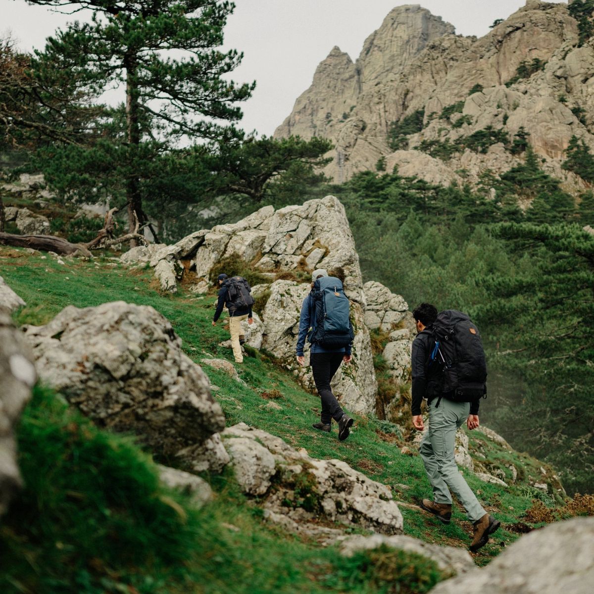 Pantalons de randonnée FJÄLLRÄVEN Abisko M Regular Brun sarrasin