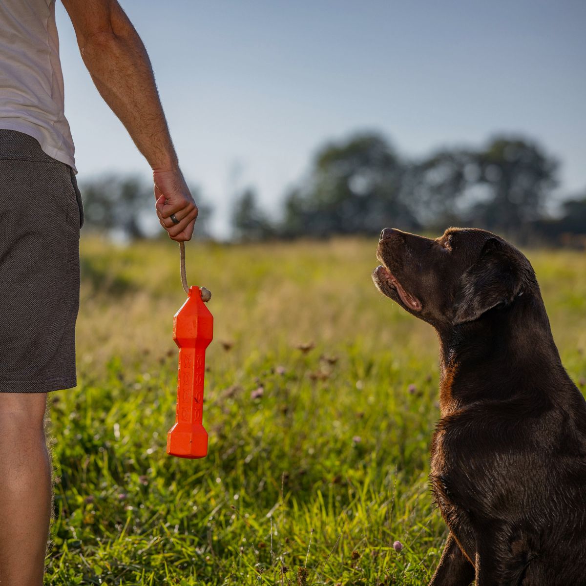 HP&G Apportierdummy Balance Bumper 320g Orange