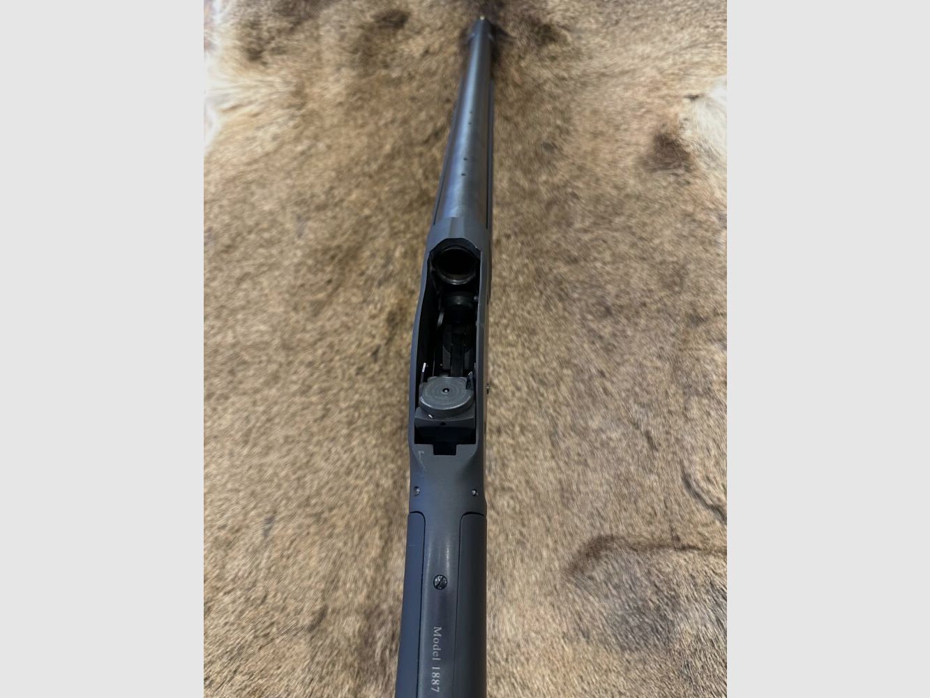 Chiappa 1887 T-Model, Bild 3 von 4