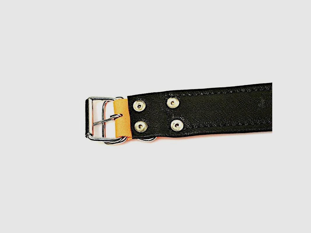 Twelvepointer Hunde Warnhalsung 50 cm