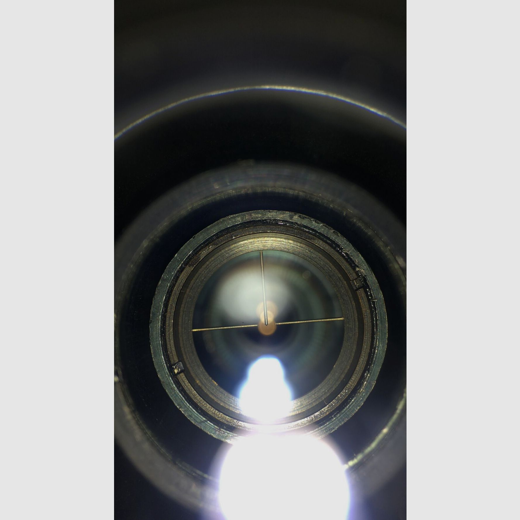 Steyr Mannlicher inconnu 7x64