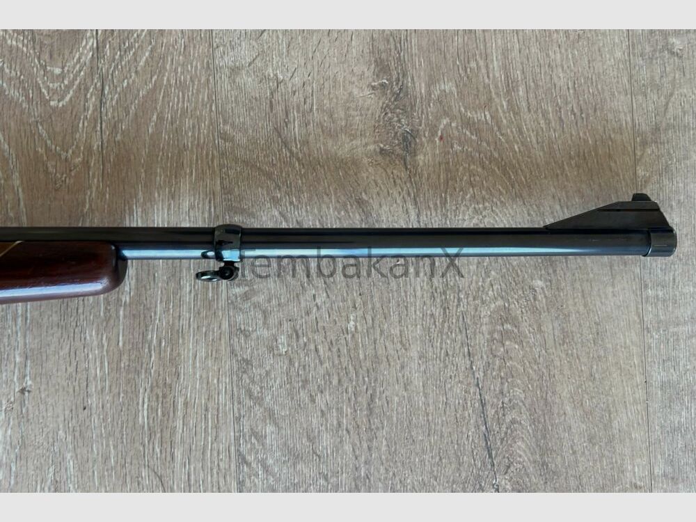 Mauser Mod. 66 .30-06Spring