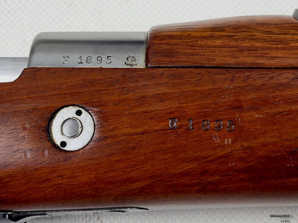 DWM Argentino 1909