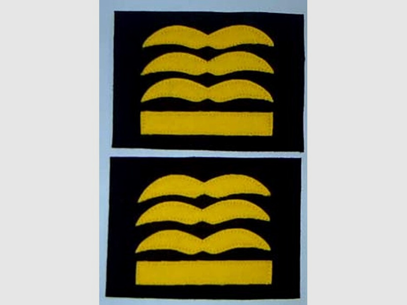 Dienstgardabz. General der Fallschirmjäger/ Flieger