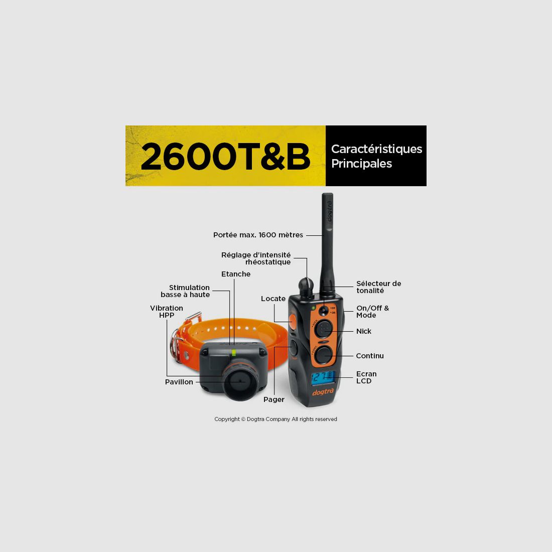 Halsband mit Beeper DOGTRA 2600 T&B, Bild 4 von 4