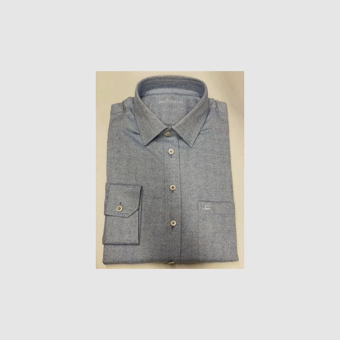 Chemise en Flanelle pour Homme Wallmann à Motif Chevron en Bleu Clair