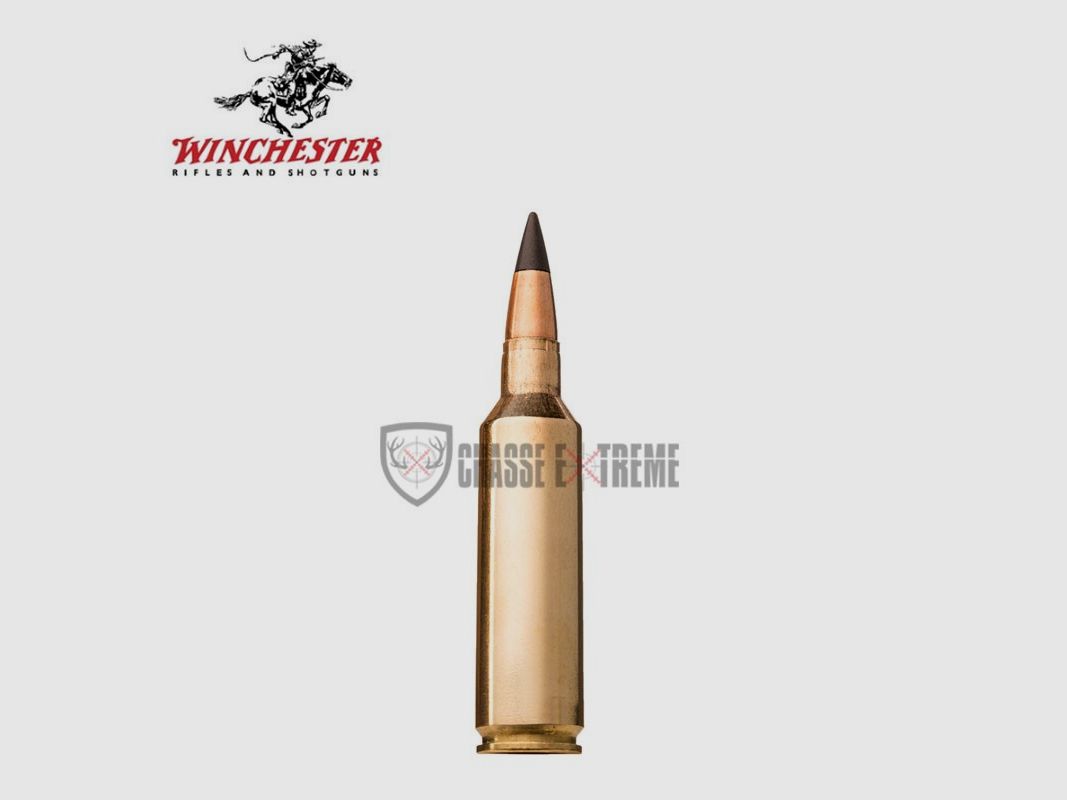 20 Patronen WINCHESTER Kal. 270 WSM 130gr Extreme Point, Bild 2 von 2