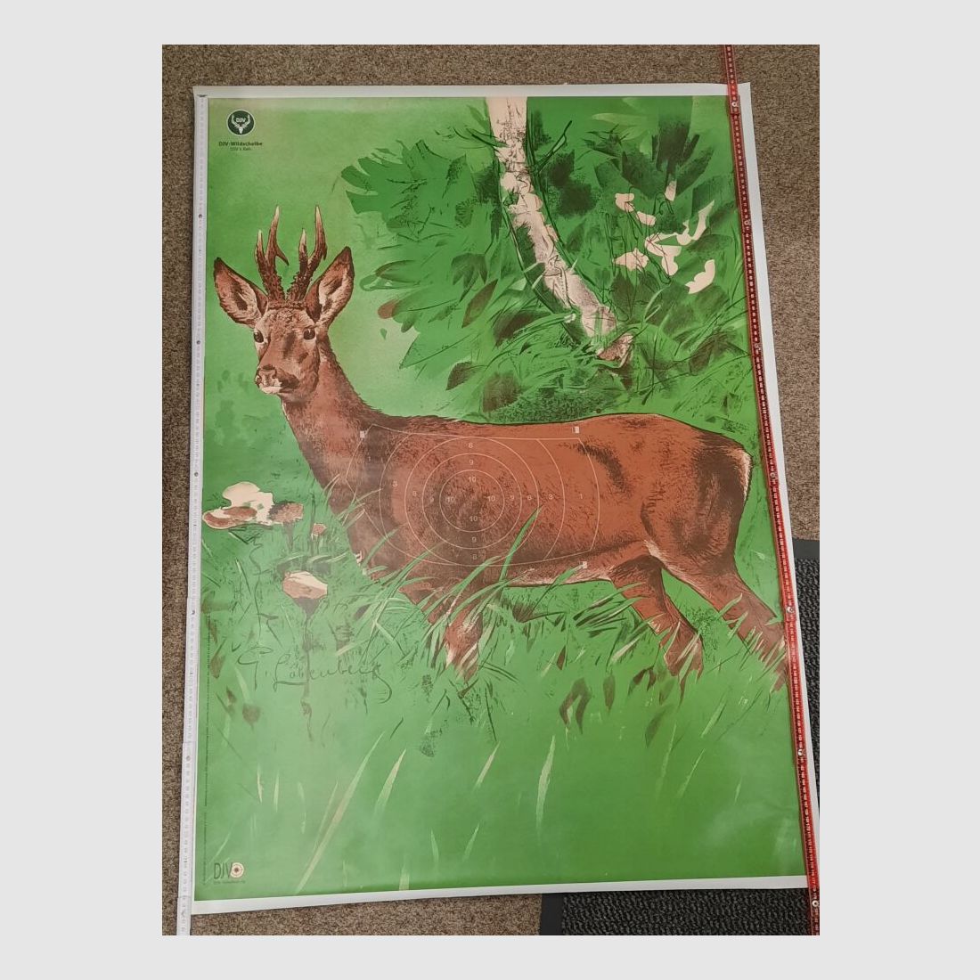 Schießscheibe Jagdscheibe Wildscheibe