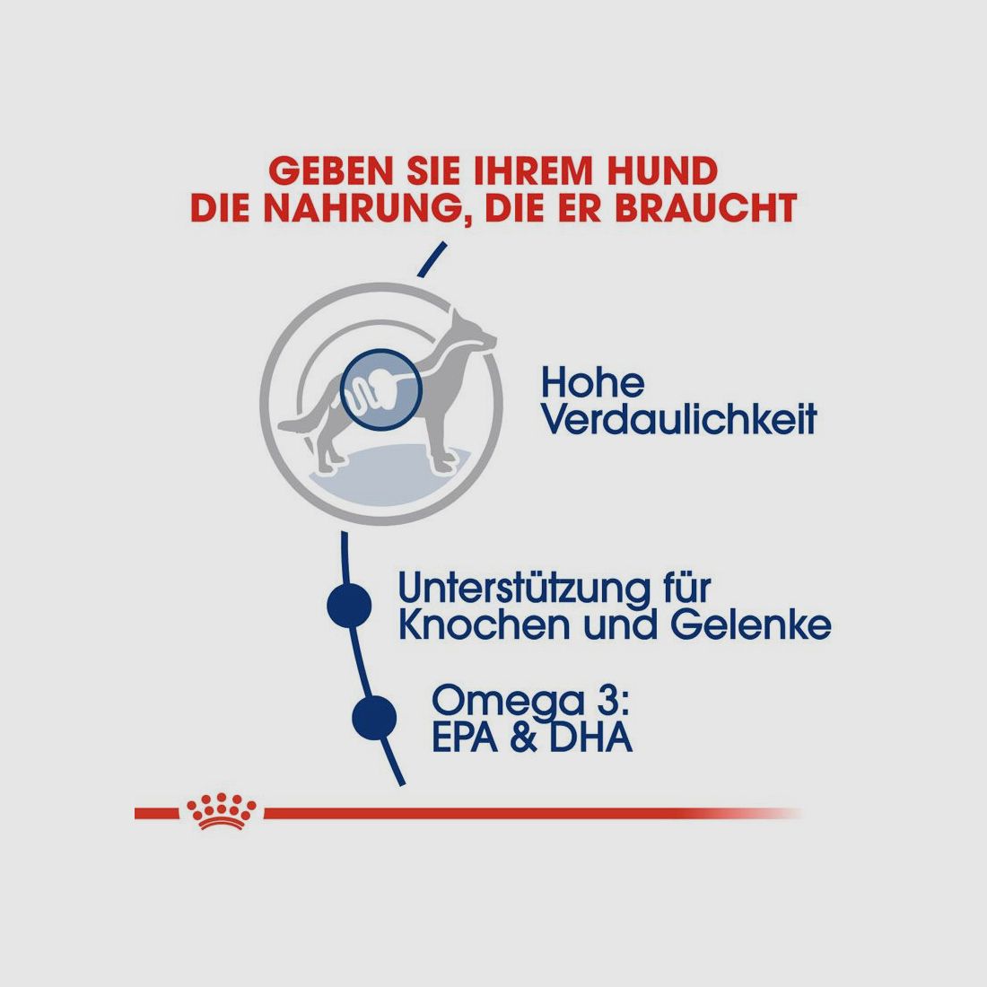 ROYAL CANIN Große Hunde Trockenfutter Maxi Adult