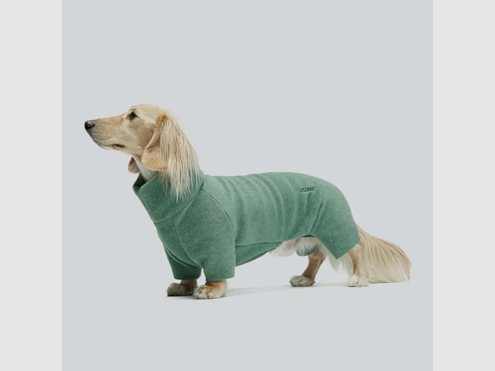 Hundepullover Dackel Fleece Cornwall Dusty Green, Bild 1 von 8