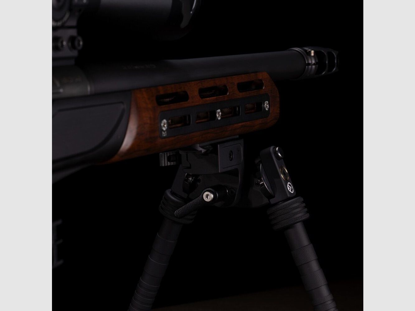 Victrix Carabine Lupus – .308 Match 1:10″, Bild 9 von 10