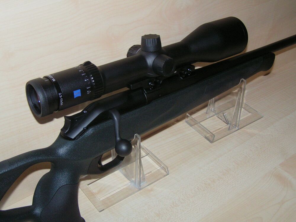 Blaser R8 Professional Success