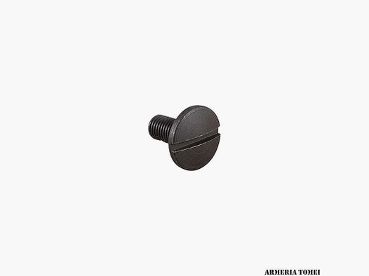 BERETTA – (62) Guide Screw Accessories CX4 STORM
