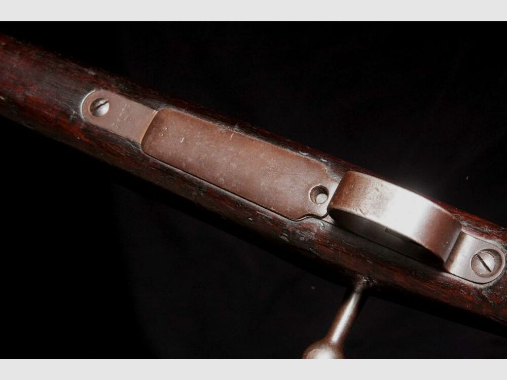 Loewe Berlin 1894 1894 Brasilien