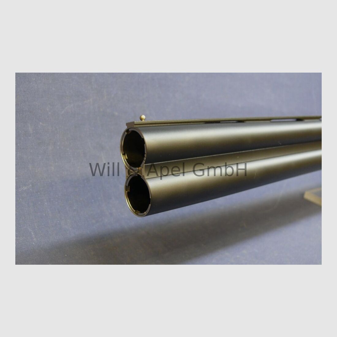 Blaser F16 BDF Game