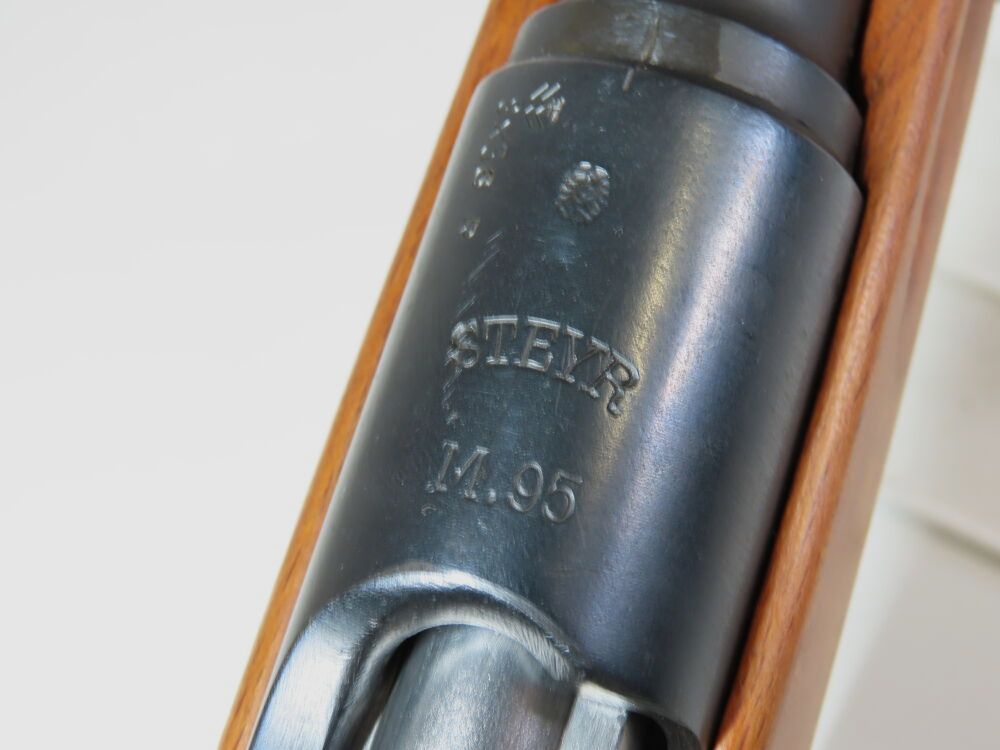 Steyr Mannlicher 95