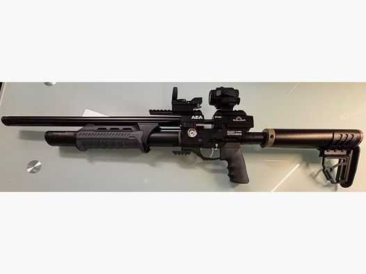 Megalodon im Komplett-Set