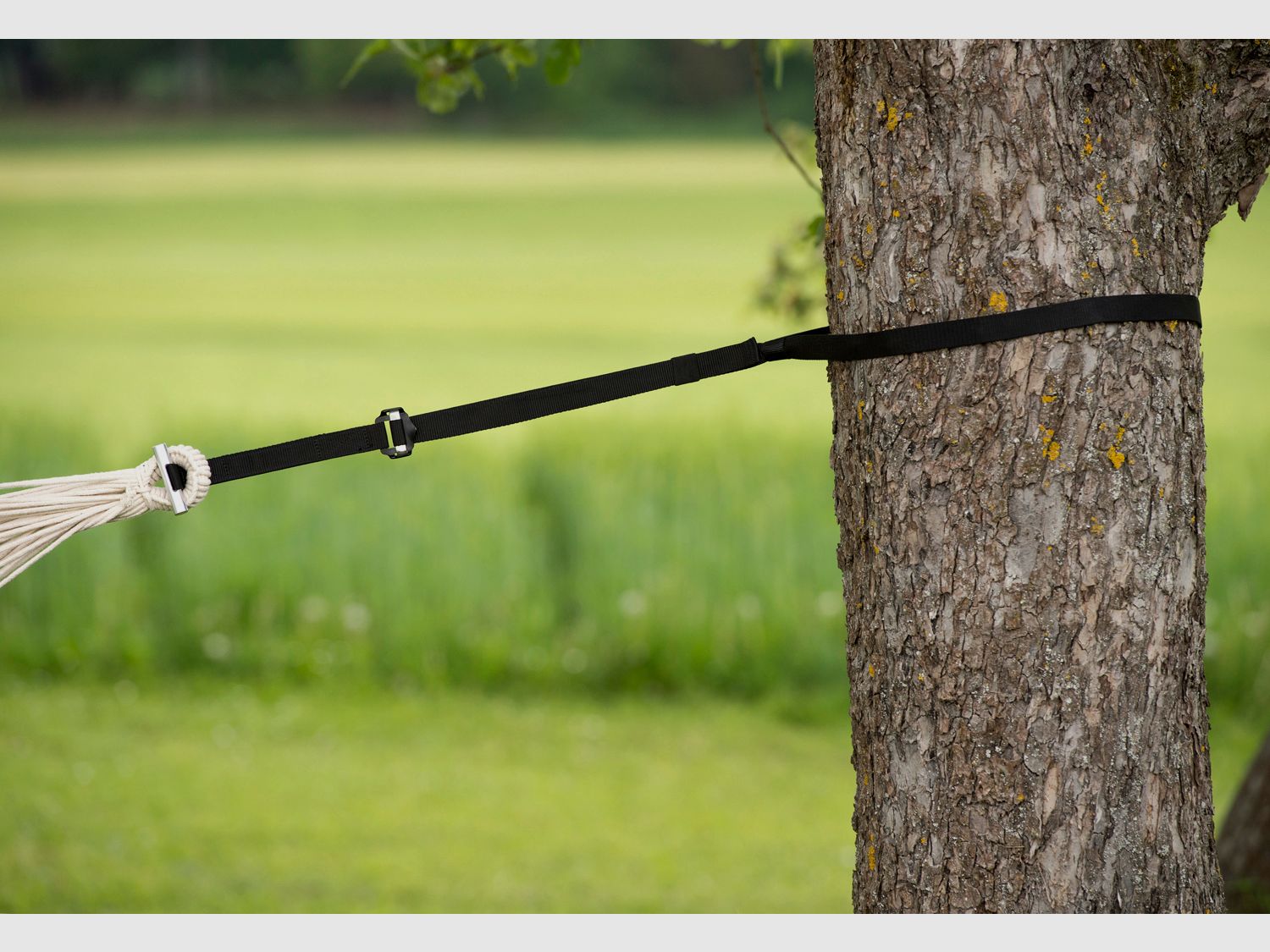 Amazonas T-Strap