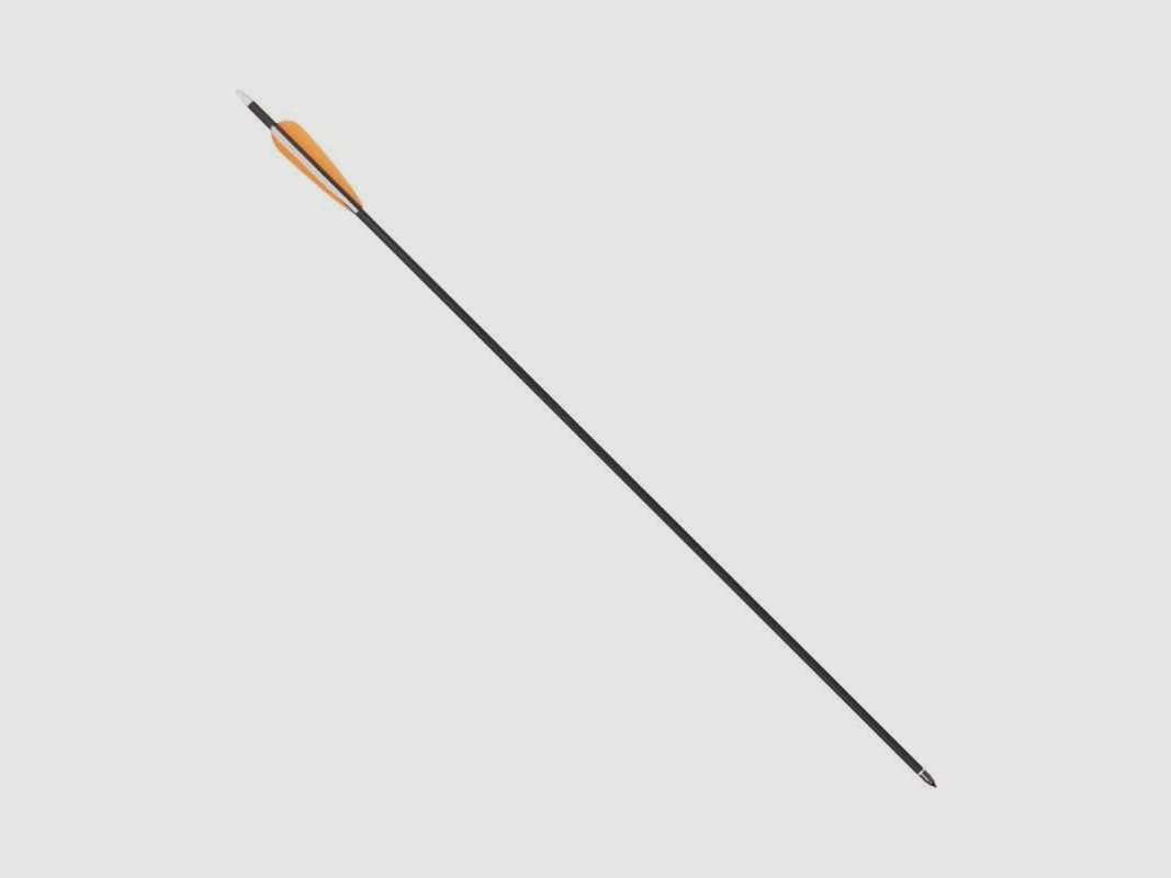 Haller Carbon Pfeil Länge 30" Set 10 Stück