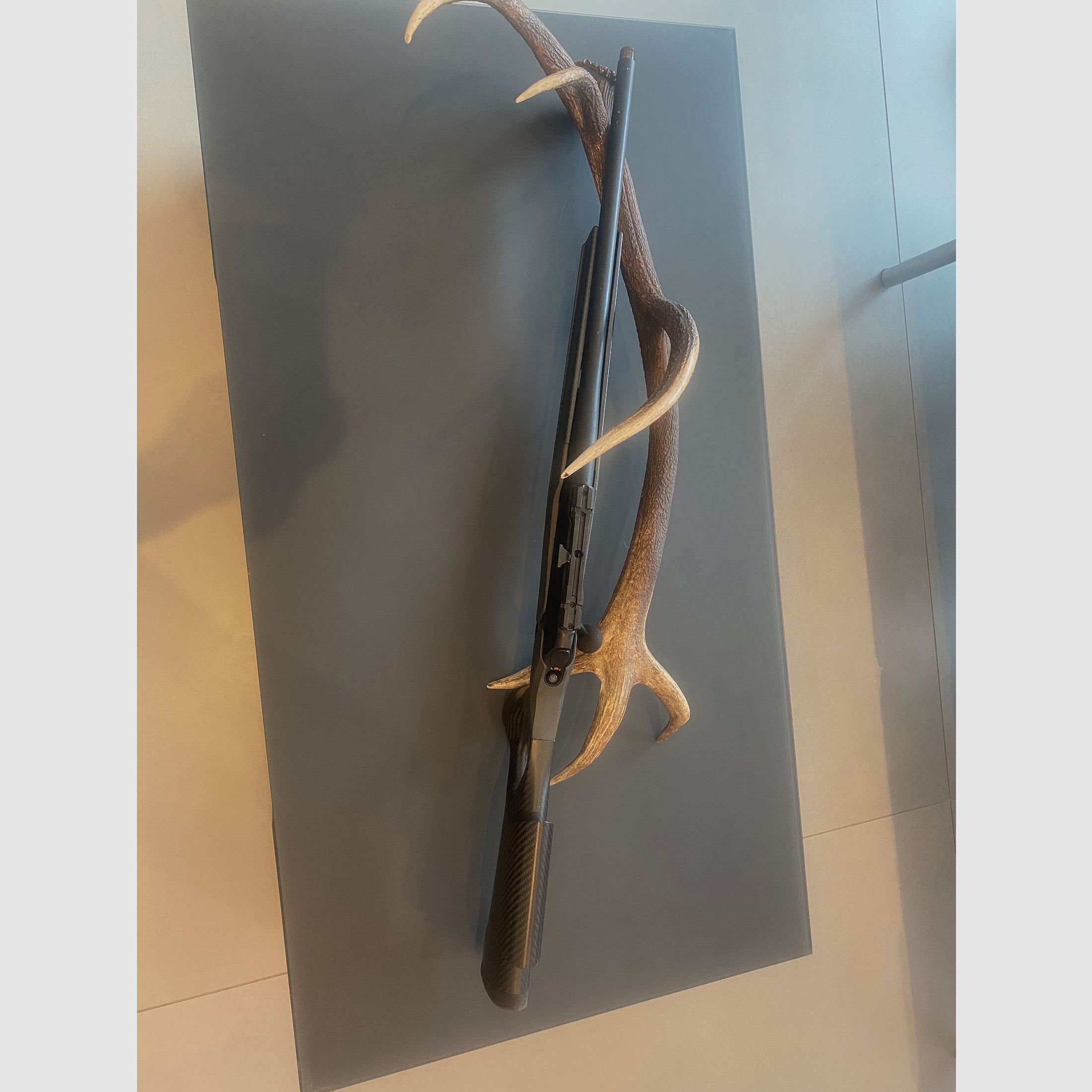 Sauer 202 carbon stock caliber 308