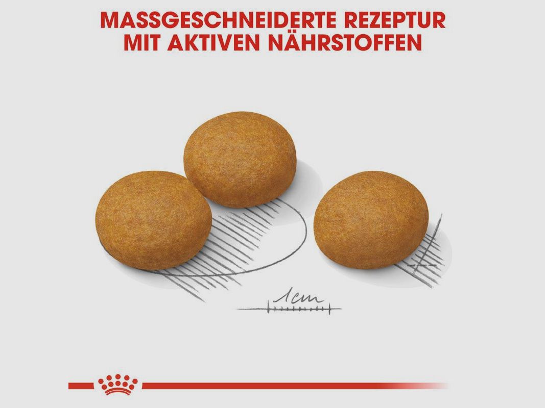 ROYAL CANIN Große Hunde Trockenfutter Dermacomfort Maxi für empfindliche Haut