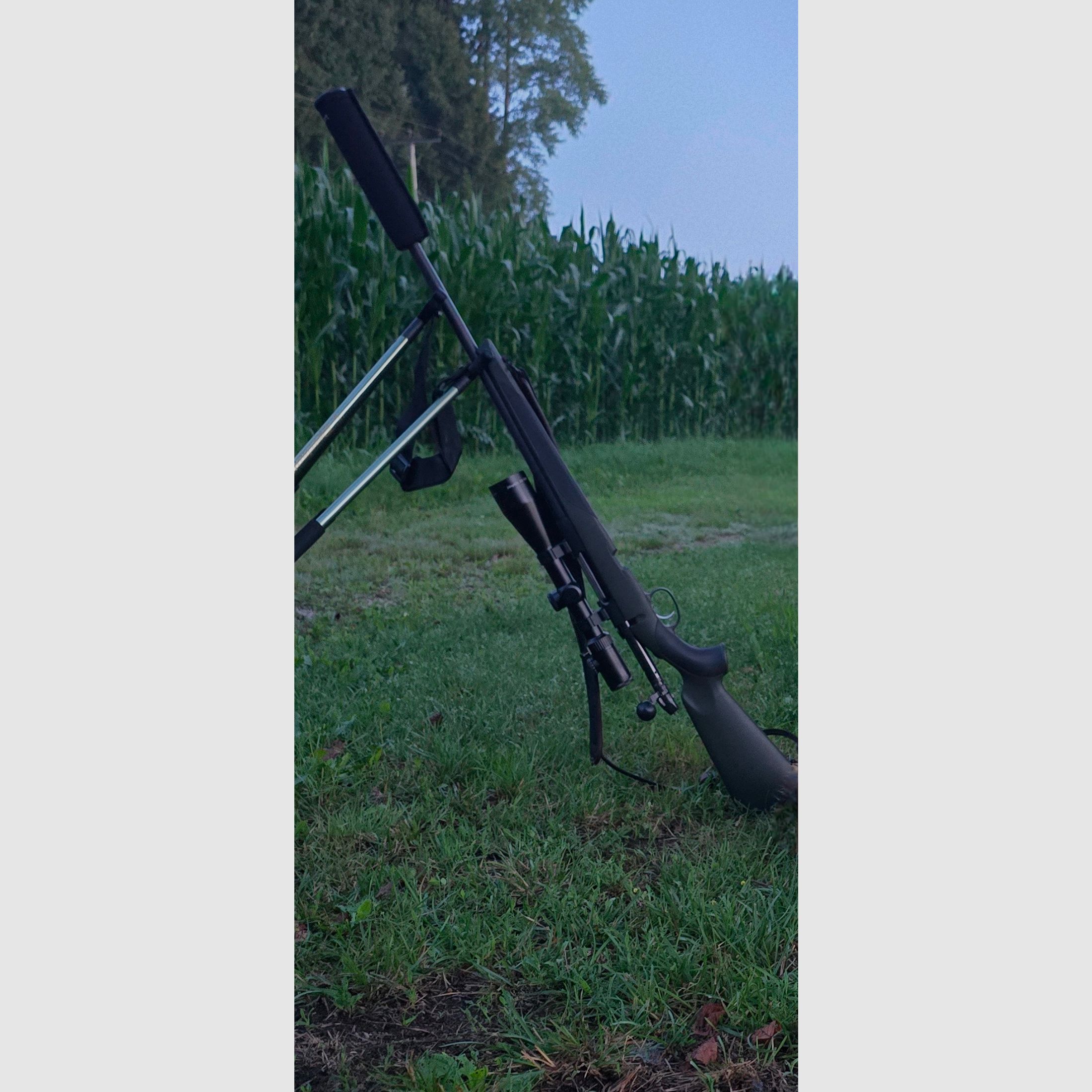 Mannlicher SM12 SX Goiserer