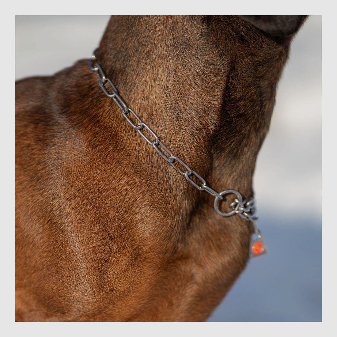 Sprenger Collar con limitador de tensión – eslabones largos, imagen 3 de 5