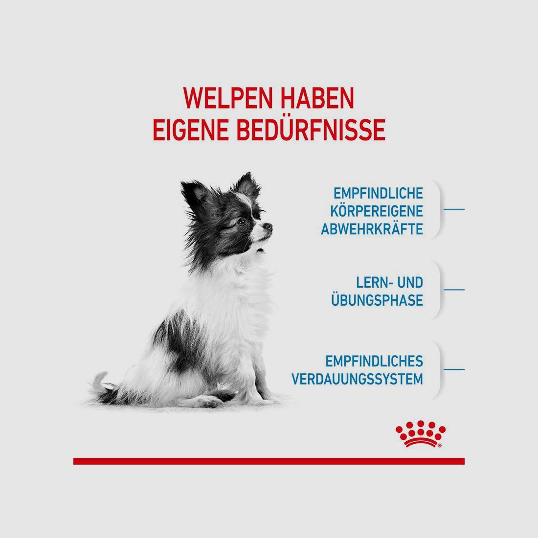 ROYAL CANIN Sehr Kleine Hunde Trockenfutter X-Small Welpen