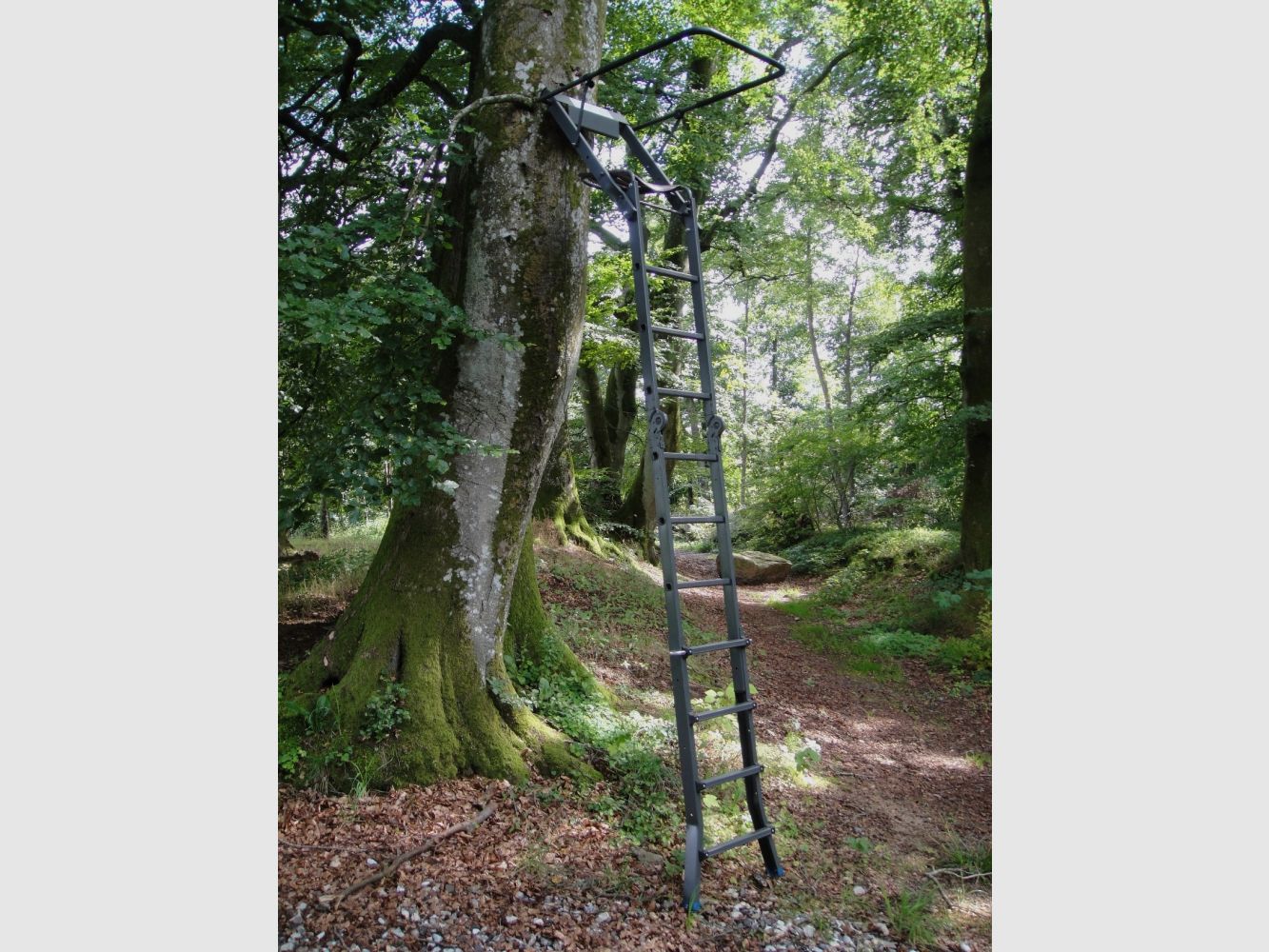 Jagtstige/Hochsitz HS40 Foldbar 13 kg, billede 1 af 3