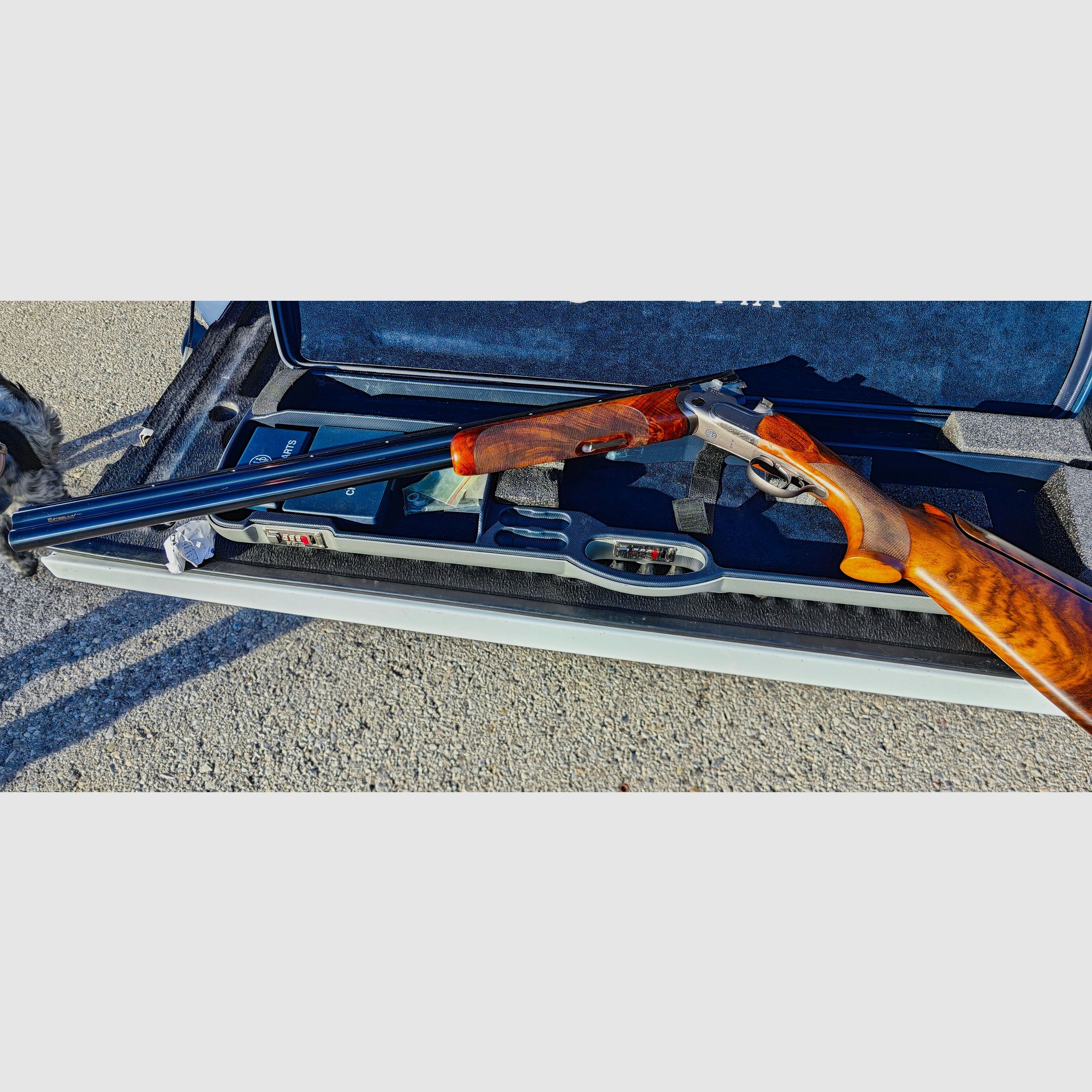 Beretta DT11 Sporting