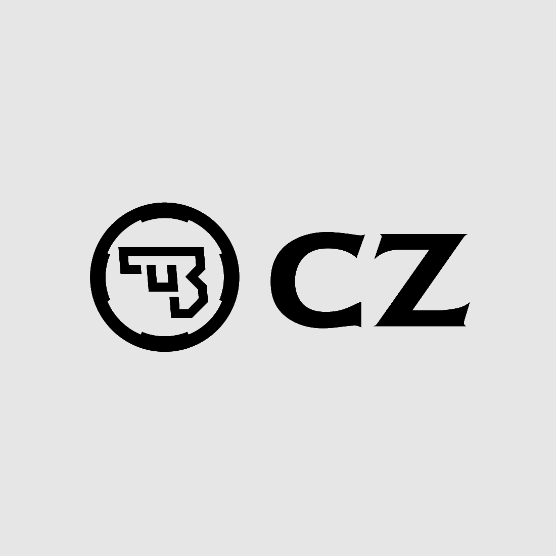 CZ 75 SP1 Magazine