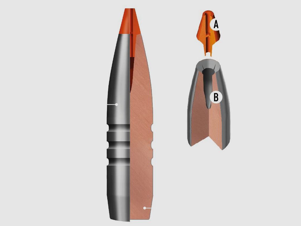 RWS HIT 40grs - 20Stk