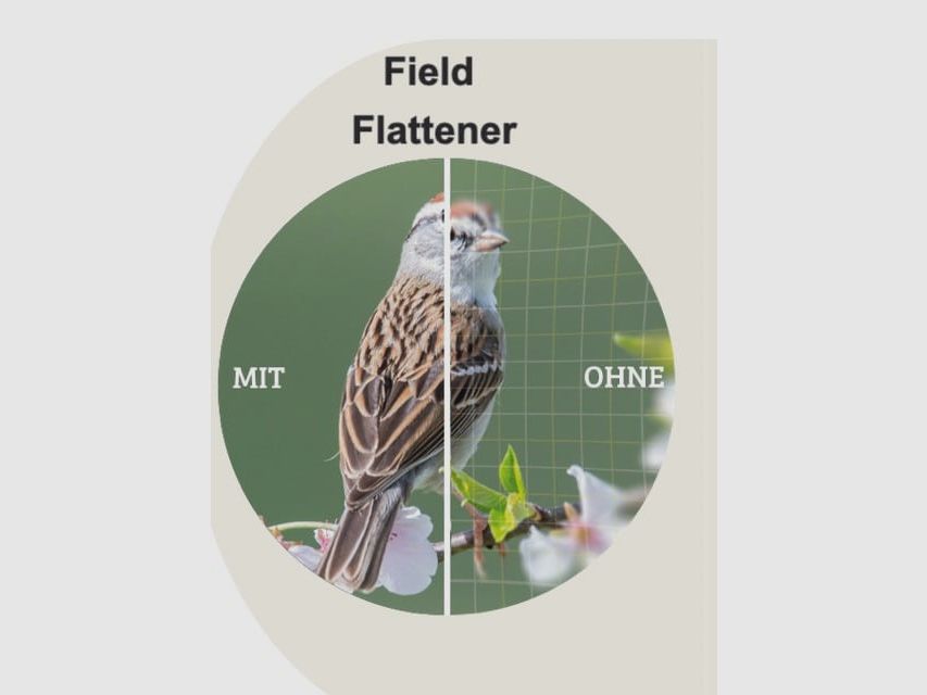 DDoptics Fernglas | SHG 10×42 | PREMIUM Klasse