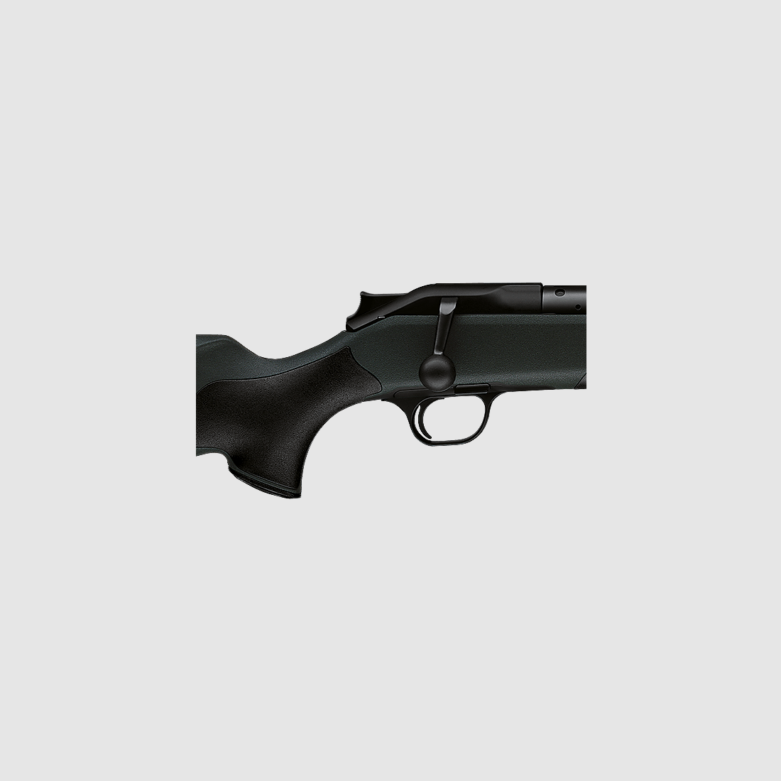 Blaser R8 Professional Nachsuche
