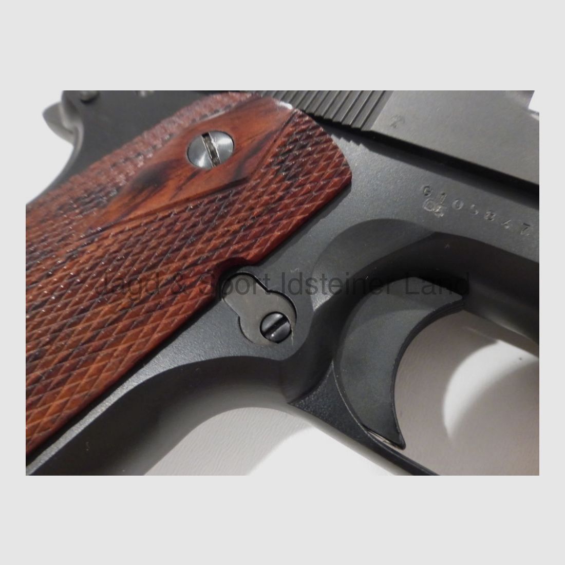 Para Ordonance GI Exp "Wild Bunch" SA