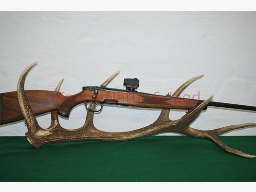 Steyr Mannlicher Mod. S