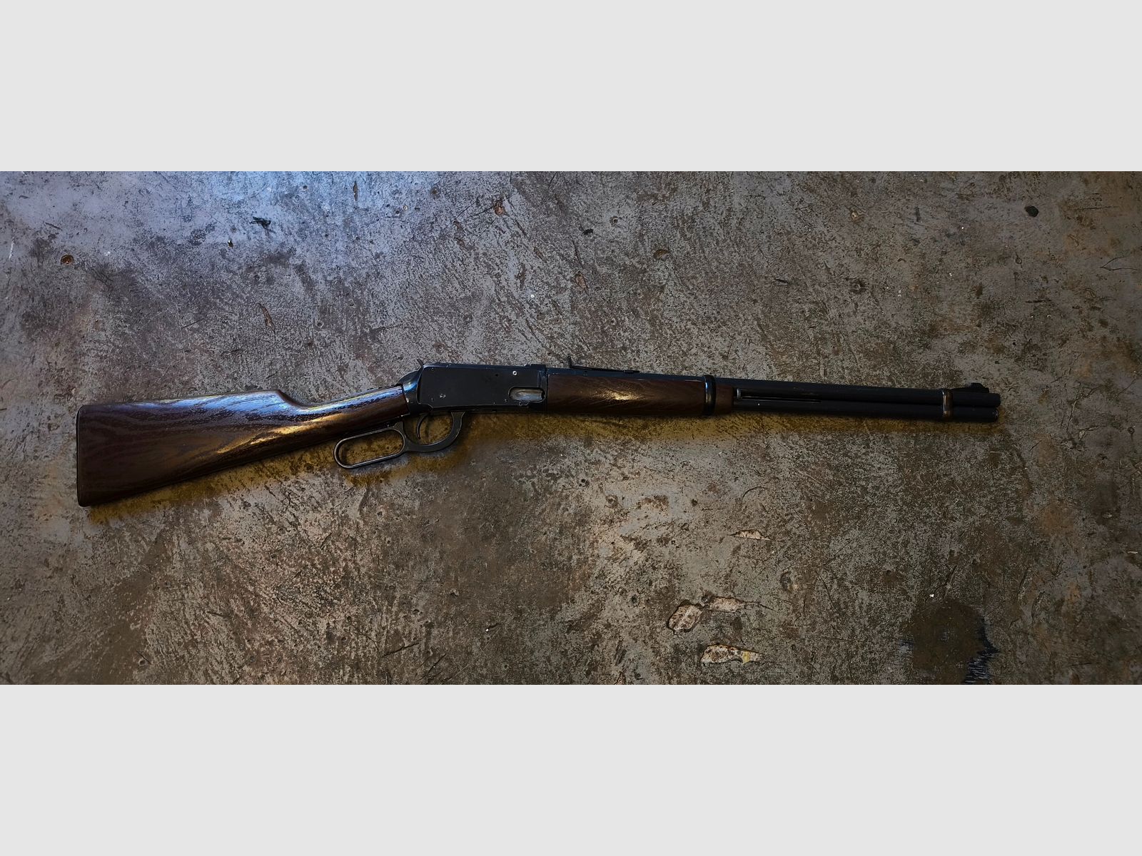 Daisy Model 1894